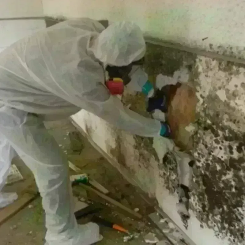 Mold Remediation and Removal in Northbridge, MA